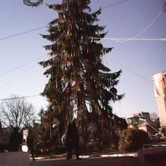 IMG0005A