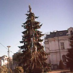 IMG0007A