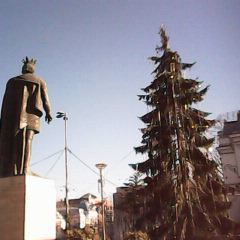 IMG0008A