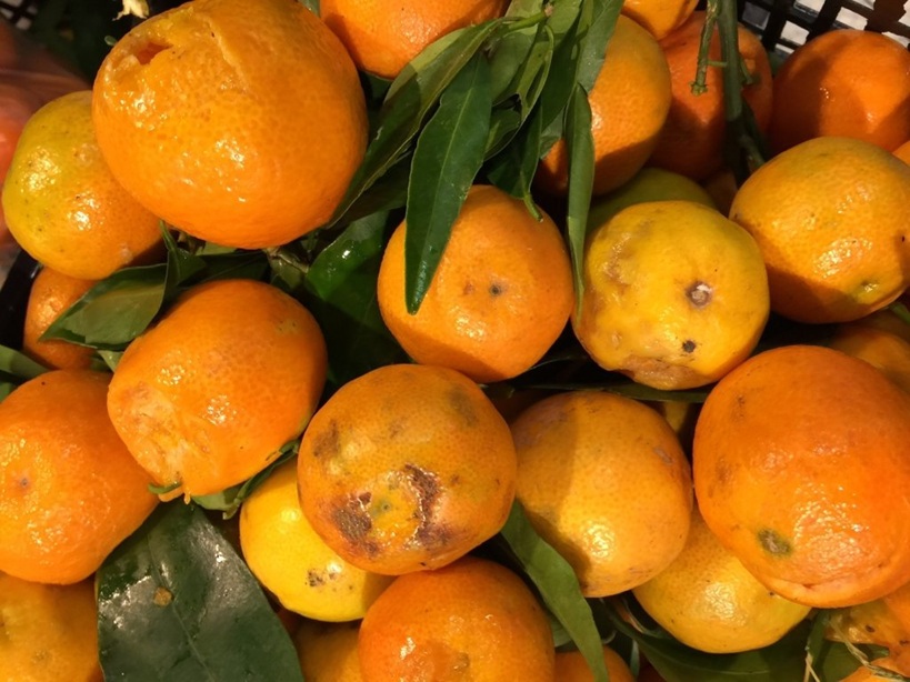 fructe stricate kaufland